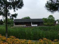-尚贤河湿地