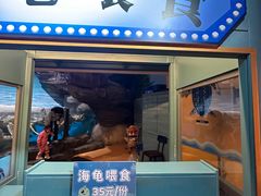 -海合安武汉极地海洋公园