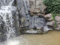 -燕塞湖鸟语林景区
