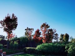 -呈贡滇池生态湿地公园