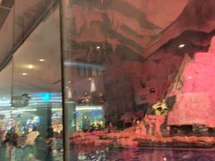 -帝企鹅自助餐厅•儿童岛•真企鹅(长隆企鹅酒店)