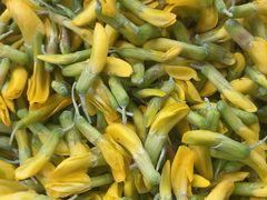-佳缘野生菌食府