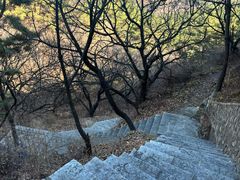 -金龙寺国家森林公园