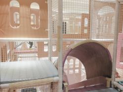 -超级奈尔宝SUPER NEOBIO(杭州星光店)