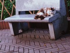 -晓港公园