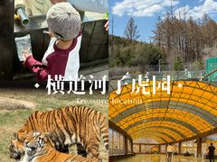 -横道河子东北虎林园