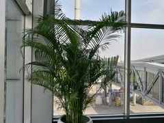 -长沙黄花国际机场-T1航站楼