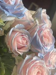 -Oasis Beauty水磨坊科技美肤中心