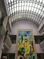 -上海交通大学医学院附属上海儿童医学中心(陆家嘴总院区)