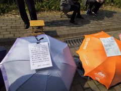 -人民公园-相亲角