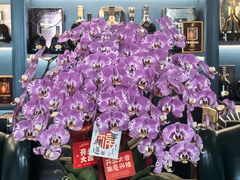 -林记酒楼(晓翠路店)