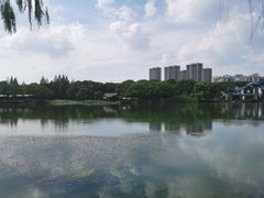 -新洲生态园