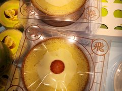 雪飞卷-蒲公英(象山北路店)