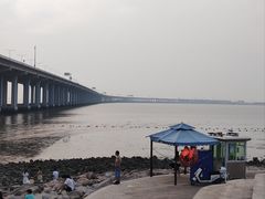 -宝安西湾红树林湿地公园