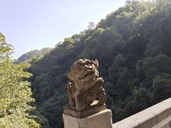 -鼎湖山风景区