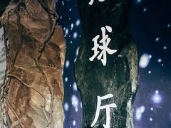 -嘉荫恐龙国家地质公园