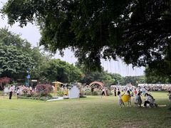 -南宁南湖公园