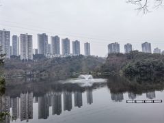 -重庆彩云湖湿地公园