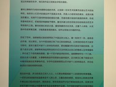 -宁波美术馆