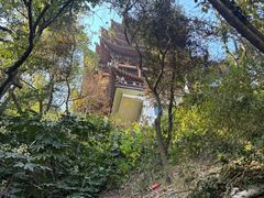 -杭州半山国家森林公园