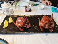 -侨美·唐荔园·40年地道粤菜