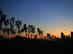 -哈尔滨大剧院