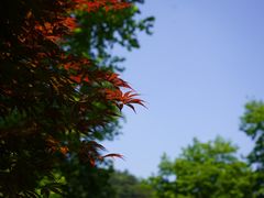 -庐山风景名胜区