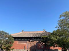 -善化寺