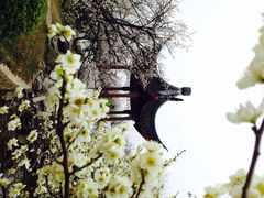 iphone_upload_pic-林屋洞景区