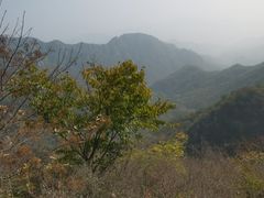 -大岭沟猕猴桃谷风景区