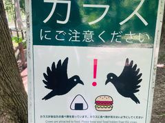 -北海道神宫