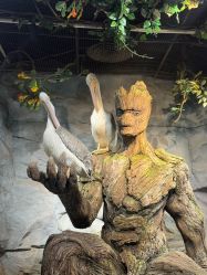 -Zoolung Zoolung动物主题公园(海信广场店)