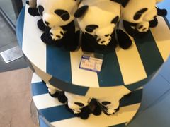 -熊猫屋(宽窄巷子景区店)