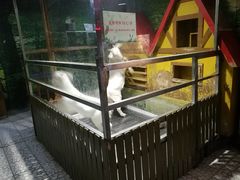 -上海大自然野生昆虫馆(东方明珠·爬宠昆虫探索中心)