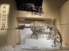 -国家自然博物馆