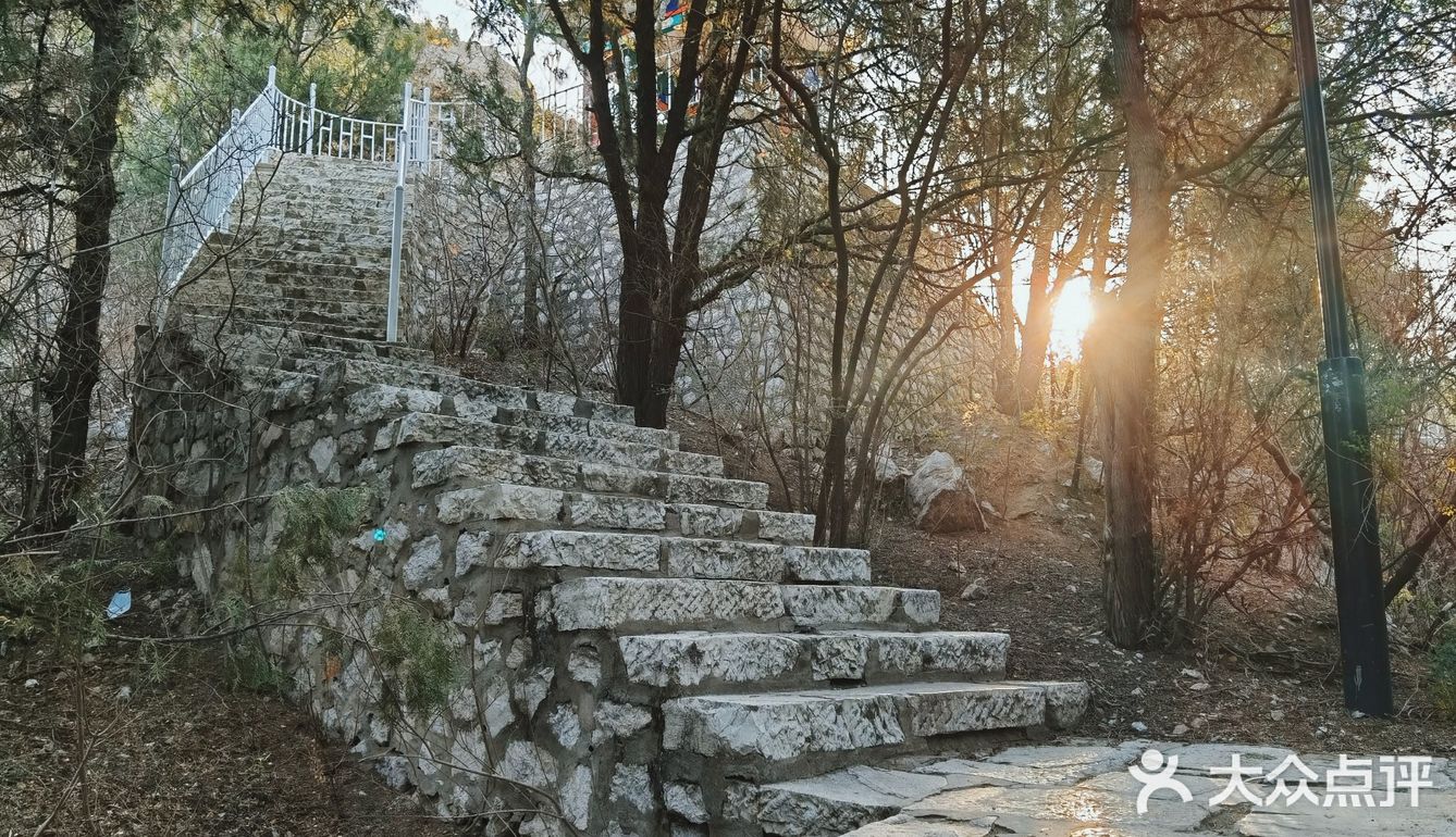 早上做完了核酸顺便去凤凰山爬了个山，据说山顶的亭子要