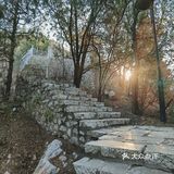 早上做完了核酸顺便去凤凰山爬了个山，据说山顶的亭子要