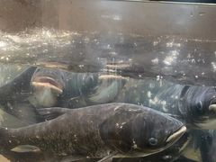 -上名堂·鱼头好吃(体育场路店)