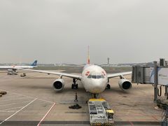 -星巴克(北京三里屯SOHO一店)