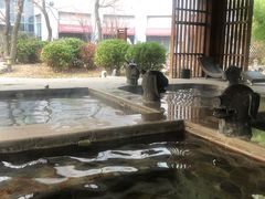 -中家鑫园温泉酒店鑫悦汤泉