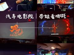 -枫花园汽车电影院(朝阳公园店)