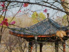 -堤角公园
