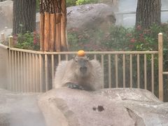 -北京野生动物园