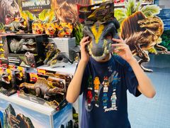 -TOYSRUS玩具反斗城(上海万象城店)