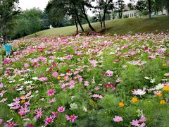 -钟山体育运动公园