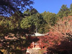 -醍醐寺