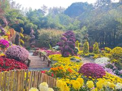 -杭州植物园
