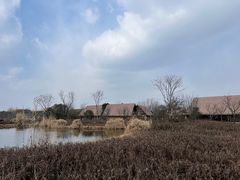 -良渚古城遗址公园