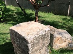 -首都医科大学附属北京潞河医院