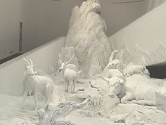 -中国湿地博物馆